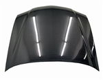 2004-2005 Acura Tsx Oem Style Carbon Fiber Hood