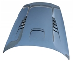 Carbon Fiber Hood DTM Style for Porsche Panamera 4DR 10-16