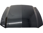 2013-2014 Ford Mustang 2Dr Cowl Induction Carbon Fiber Hood
