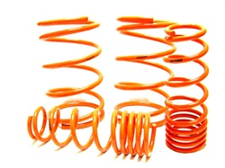Acura Integra 94-01 Megan Racing Lowering Springs